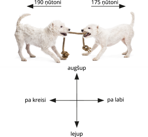 YCUZD_231115_5765_suņi un ņūtoni_4.png