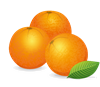 oranges2 Asset 1.png