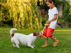 shutterstock_1292961979.jpg