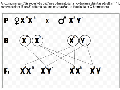 Screenshot 2026-01-28 123109.png