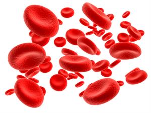 Shutterstock_147190769_blood cells_asinsķermenīši.jpg