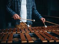 Shutterstock_772029223_xylophone_ksilofons.jpg