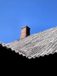 IMG_5229.JPG