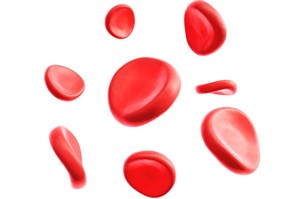Shutterstock2462364977.jpg
