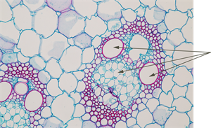 YCUZD_250324_7161_16.png