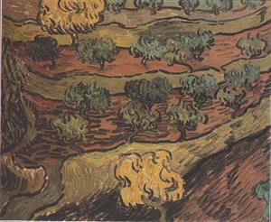 937px-Van_Gogh_-_Olivenbäume_auf_einem_Hügel.jpeg