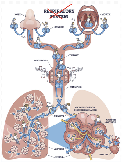 Screenshot 2026-02-09 100202.png