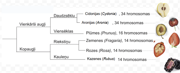 Screenshot 2025-10-22 191504.png