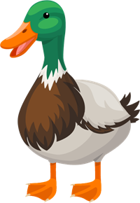 duck2.png