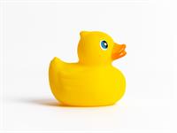 Shutterstock_1495296572_toy duck_spēļu pīle.jpg