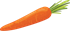YCUZD_230319_5116_burkans.png