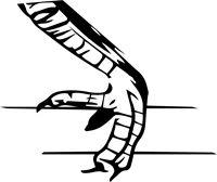 YCUZD_250413_7225_Zvirbuļa pēda.png