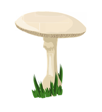 ZAĻĀ MUŠMIRE.png