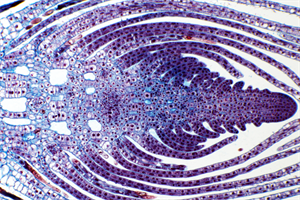 YCUZD_250324_7161_10.png
