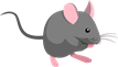 YCUZD_230814_5460_mouse_pele (1).png