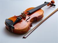 Shutterstock_1930221980_violin_vijole.jpg