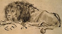 WIKI_20260126_Rembrandt-A-Lion-Lying-Down-207063_detail.jpg