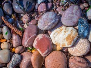 Shutterstock_1782751913_pebbles_oļi.jpg