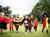 Shutterstock_1173596917_kids event_bērnu pasākums.jpg