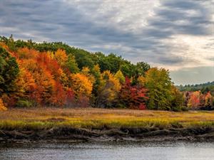 Shutterstock_2348182643_autumn_rudens.jpg