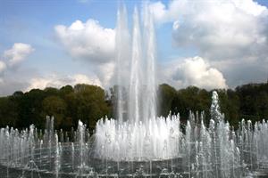 270.jpg