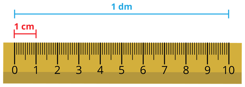 13 см 4 мм. Как измерить миллиметры.