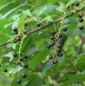 308.Photo1.png