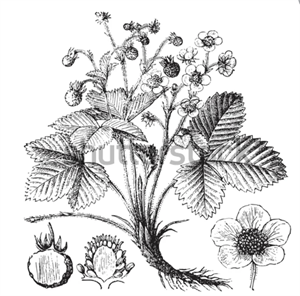 Screenshot 2025-10-21 142056.png