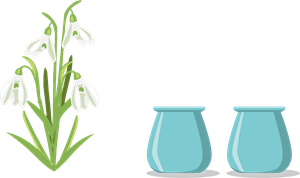 2_1 (5).png