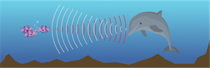 delfins.png