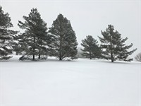 shutterstock_2724123003_winter landscape_ziemas ainava.jpg