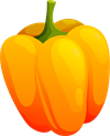 YCUZD_230412_ball pepper_paprika.png