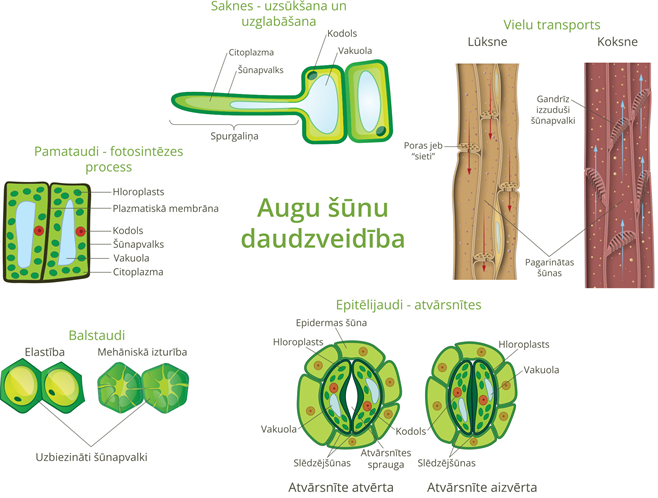 YCUZD25040371593.png