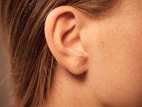 Shutterstock_440948983_ear_auss.jpg