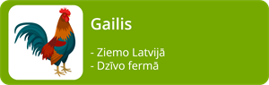 YCUZD_220708_4022_gailis.png