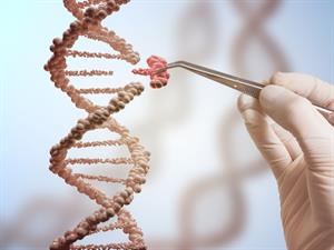 Shutterstock_607718810_DNA_DNS.jpg