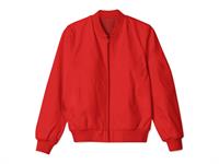 Shutterstock_1095855005_bomber jacket_jaka.jpg