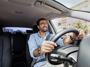Shutterstock2015511689drivevadīt.jpg