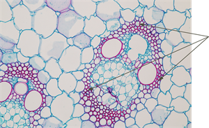 YCUZD_250324_7161_18.png