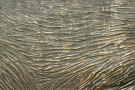bronze5-thumb.jpg