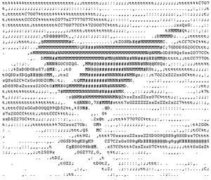 10.png