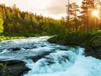 shutterstock_156362567.jpg
