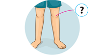knees.png