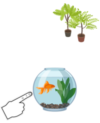 fish and plants.png