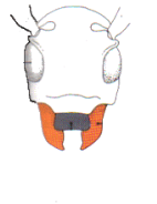 4mouth-142E04A00D63890CF18.png