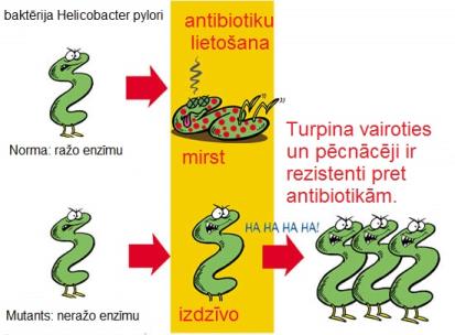 Antibiot33.jpg