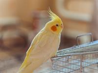 Shutterstock_2265337091.jpg