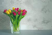 shutterstock_550676284.jpg