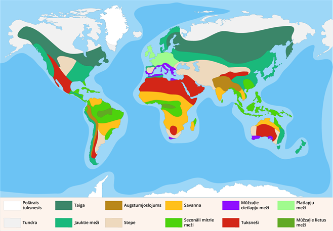 YCUZD_251027_7697_biomes.png