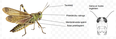 Screenshot 2025-10-20 140905.png